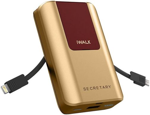 Внешний аккумулятор iWALK Secretary Universal Backup Battery 10000 mah Gold (SBS100G) 1655 фото