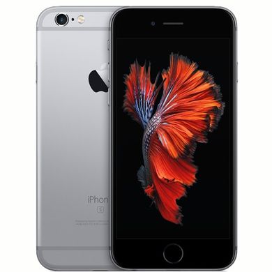 Apple iPhone 6S 32Gb Space Gray (MN0W2) 42 фото
