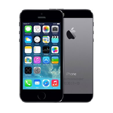 Apple iPhone 5S 16Gb Space Gray NEW 108 фото