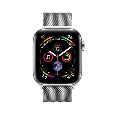 Apple Watch Series 4 (GPS+LTE) 40mm Stainless Steel Case with Milanese Loop (MTUM2) 2076 фото