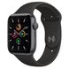 Apple Watch SE 44mm Space Gray Aluminum Case with Black Sport Band (MYDT2) 3765 фото 1