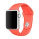 Ремешок для Apple Watch 38/40 mm Sport Band Apricot (High Copy) 1763 фото 1