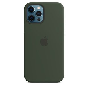 Чехол Apple Silicone Case with MagSafe Cyprus Green (MHLC3) для iPhone 12 Pro Max 3842 фото