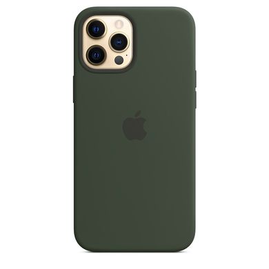 Чехол Apple Silicone Case with MagSafe Cyprus Green (MHLC3) для iPhone 12 Pro Max 3842 фото