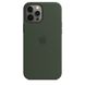 Чехол Apple Silicone Case with MagSafe Cyprus Green (MHLC3) для iPhone 12 Pro Max 3842 фото 3