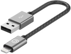 Lab.C USB кабель для iPhone, iPad (0.15 m) Black