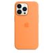 Чохол Apple Silicone Case with MagSafe Clover (MM2F3) для iPhone 13 Pro 4097 фото 2