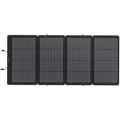 Зарядний пристрій на сонячній батареї EcoFlow 220W Solar Panel (SOLAR220W) 110002 фото