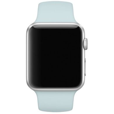 Ремешок Apple Watch 42mm Sport Band Turquoise (MLDT2) 769 фото