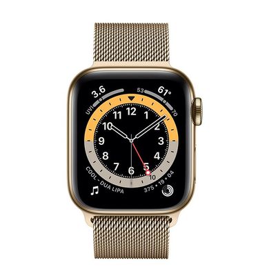 Apple Watch Series 6 (GPS + Cellular) 40mm Gold Stainless Steel Case with Milanese Loop (M02X3) 3767 фото
