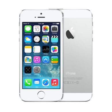 Apple iPhone 5S 16Gb Silver NEW 110 фото