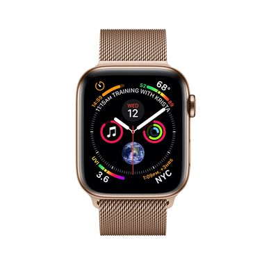 Apple Watch Series 4 (GPS+LTE) 40mm Gold Stainless Steel Case with Gold Milanese Loop (MTUT2) 2077 фото
