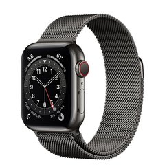 Apple Watch Series 6 (GPS + Cellular) 40mm Graphite Stainless Steel Case with Milanese Loop (MG2U3)