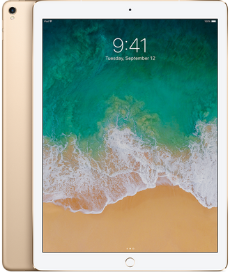 Apple iPad Pro 12.9" Wi-Fi + LTE 256GB Gold (MPA62) 2017 1113 фото