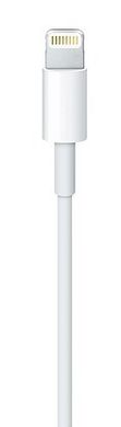 Apple USB-C to Lightning Cable (2 m) 1676 фото