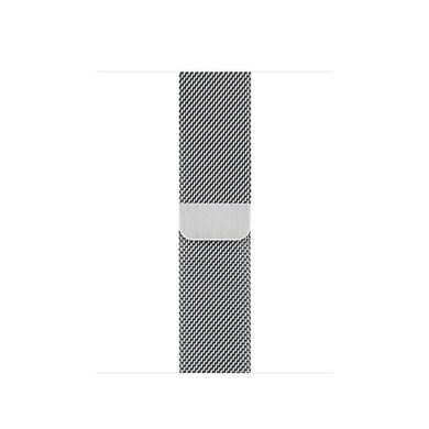 Apple Watch Series 6 (GPS + Cellular) 44mm Silver Stainless Steel Case with Milanese Loop (M07M3/M09E3) 3769 фото