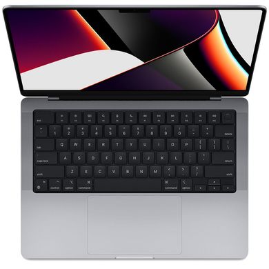 Apple MacBook Pro 14" M1 Pro 1Tb Space Gray (MKGQ3) 2021 4163 фото