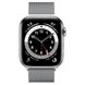 Apple Watch Series 6 (GPS + Cellular) 44mm Silver Stainless Steel Case with Milanese Loop (M07M3/M09E3) 3769 фото 2