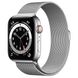 Apple Watch Series 6 (GPS + Cellular) 44mm Silver Stainless Steel Case with Milanese Loop (M07M3/M09E3) 3769 фото 1