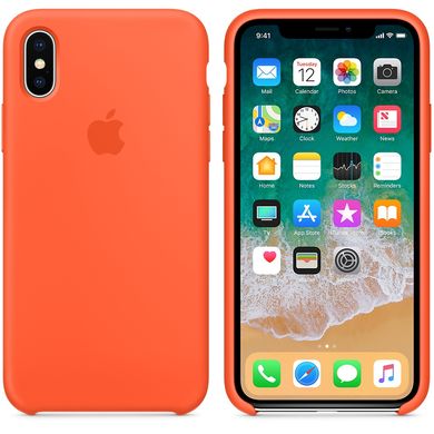 Чохол з силікону Apple помаранчевий (MR6F2) для iPhone X 1411 фото