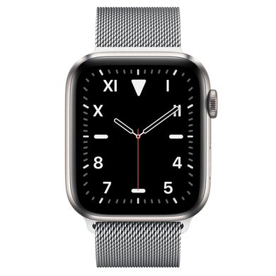 Apple Watch Series 5 Edition 44mm Titanium Case with Milanese Loop (MWR62+MTU62) 3483 фото