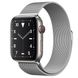 Apple Watch Series 5 Edition 44mm Titanium Case with Milanese Loop (MWR62+MTU62) 3483 фото 2