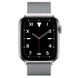 Apple Watch Series 5 Edition 44mm Titanium Case with Milanese Loop (MWR62+MTU62) 3483 фото 1